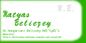 matyas beliczey business card